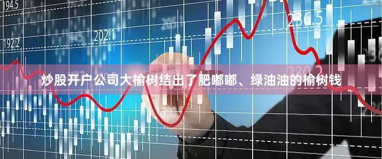 炒股开户公司大榆树结出了肥嘟嘟、绿油油的榆树钱