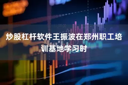 炒股杠杆软件王振波在郑州职工培训基地学习时