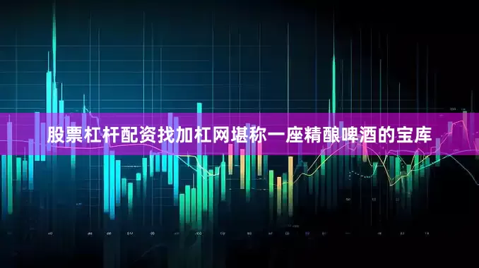 股票杠杆配资找加杠网堪称一座精酿啤酒的宝库